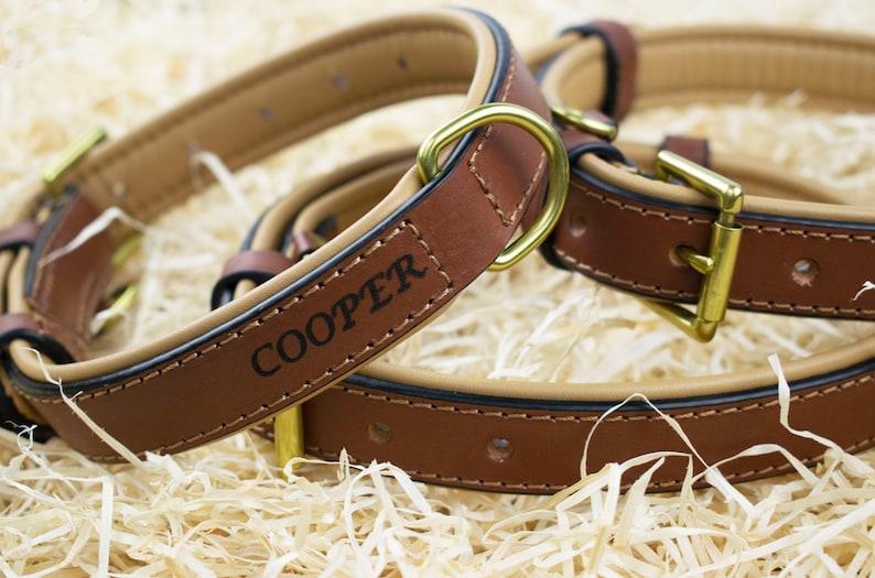The Leather Dog Collar